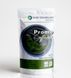 Серія Promo "Green apple" зелена низькотемпературна фарба-барвник, 30 г P-001-greenap фото 1