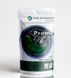 Серия Promo "Forest green" зеленая низкотемпературная краска-краситель, 30 г P-001-forest фото 1